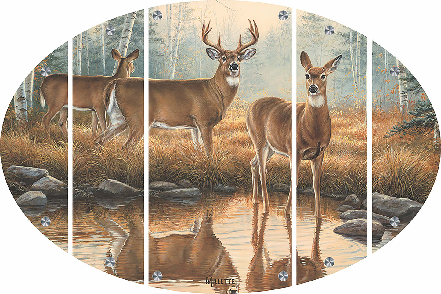 Autumn Reflections - Whitetail Deer Acrylic Wall Art & Home Decor