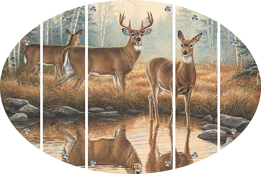 Autumn Reflections - Whitetail Deer Acrylic Wall Art & Home Decor