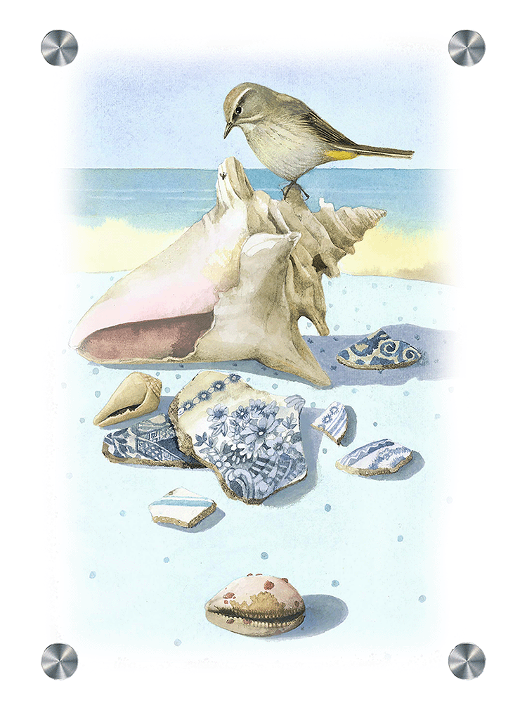 Beach Treasures Acrylic Wall Art & Home Decor