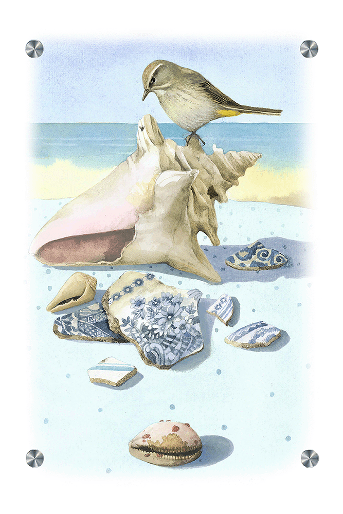 Beach Treasures Acrylic Wall Art & Home Decor