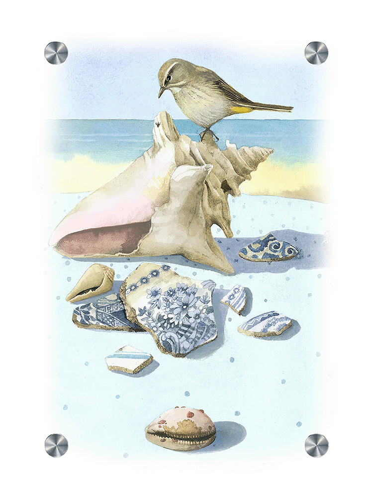 Beach Treasures Acrylic Wall Art & Home Decor