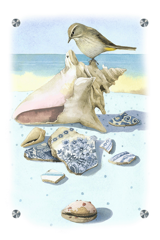 Beach Treasures Acrylic Wall Art & Home Decor