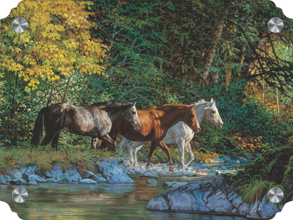 Bear Creek Crossing Acrylic Wall Art & Home Decor