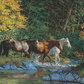 Bear Creek Crossing Acrylic Wall Art & Home Decor