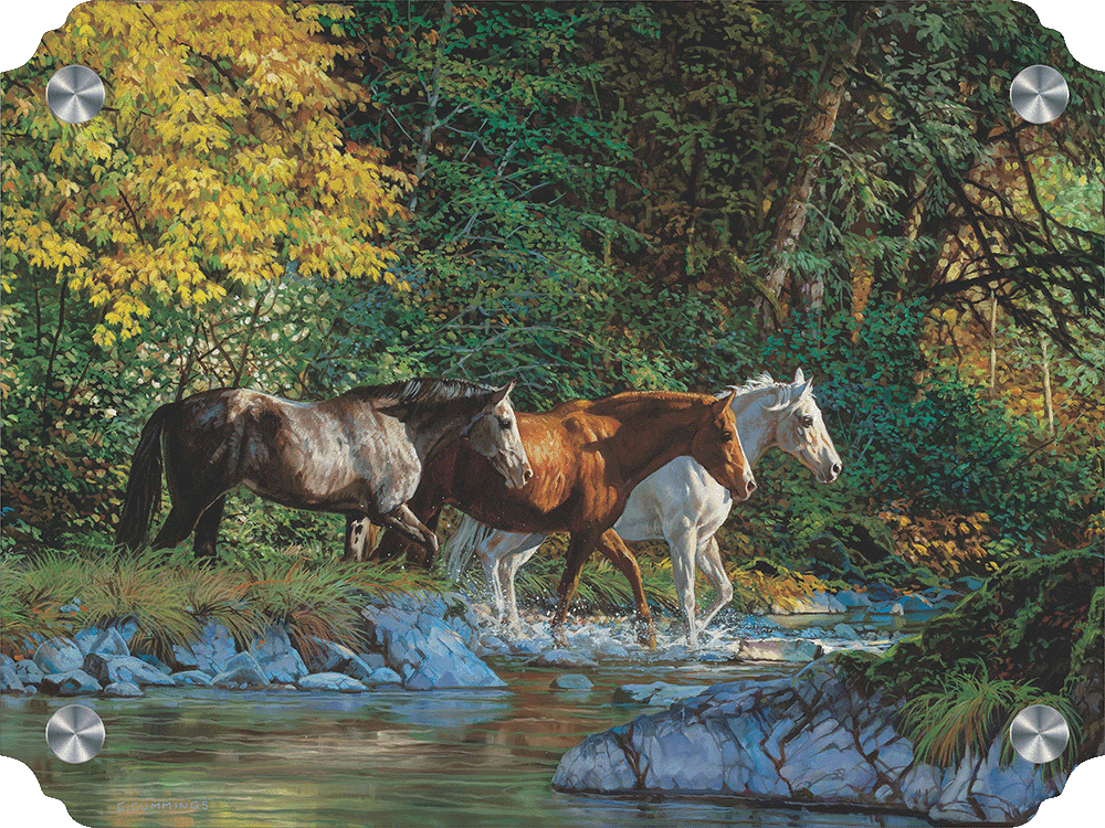 Bear Creek Crossing Acrylic Wall Art & Home Decor