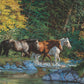 Bear Creek Crossing Acrylic Wall Art & Home Decor