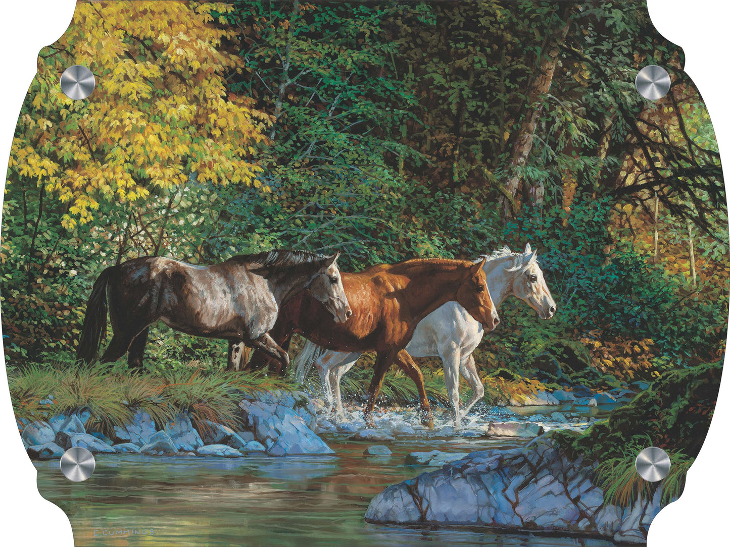 Bear Creek Crossing Acrylic Wall Art & Home Decor
