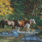 Bear Creek Crossing Acrylic Wall Art & Home Decor
