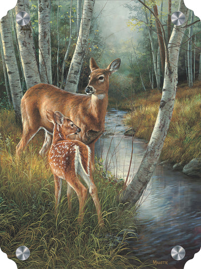 Birch Creek - Whitetail Deer Acrylic Wall Art & Home Decor