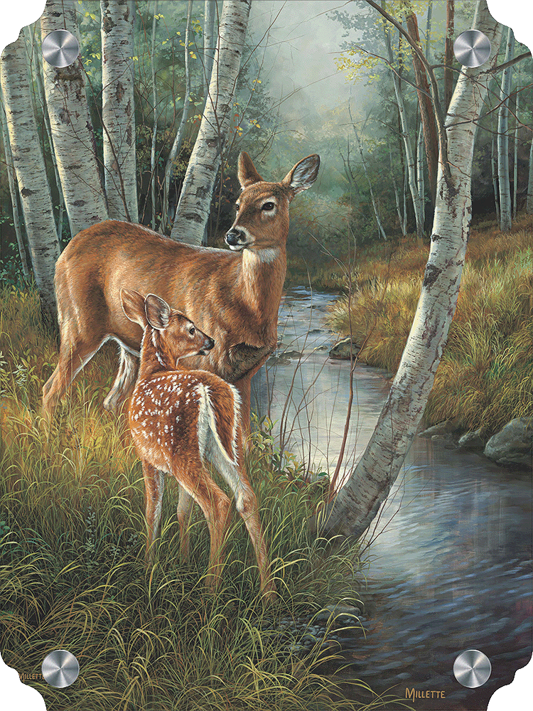 Birch Creek - Whitetail Deer Acrylic Wall Art & Home Decor
