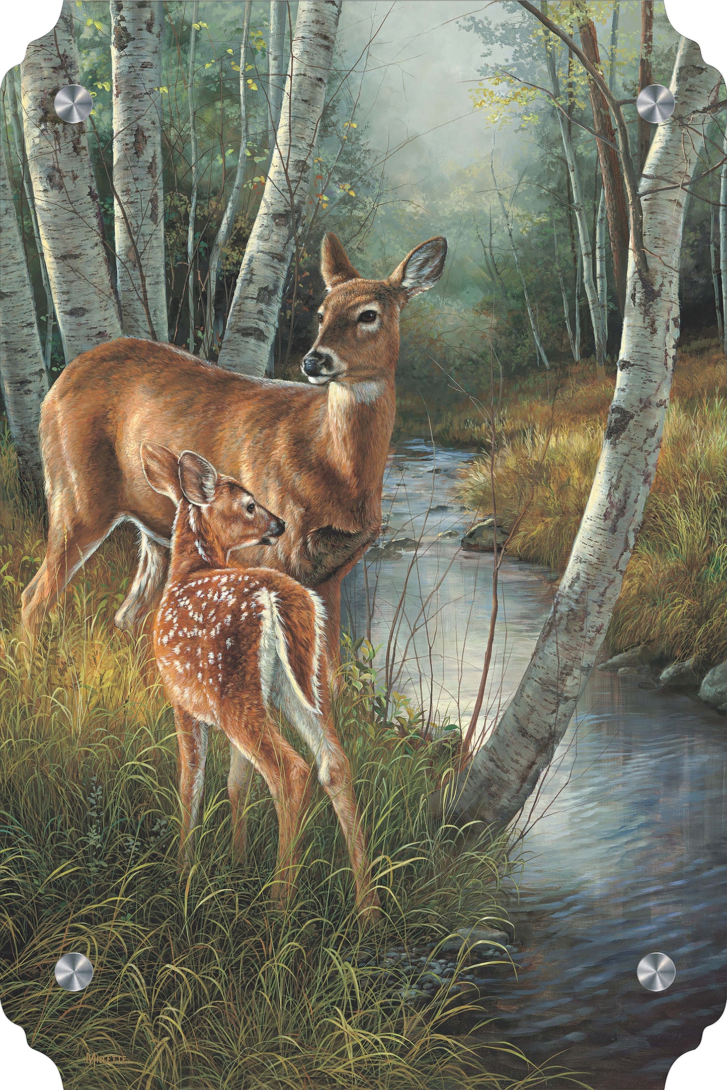 Birch Creek - Whitetail Deer Acrylic Wall Art & Home Decor