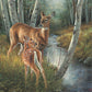 Birch Creek - Whitetail Deer Acrylic Wall Art & Home Decor