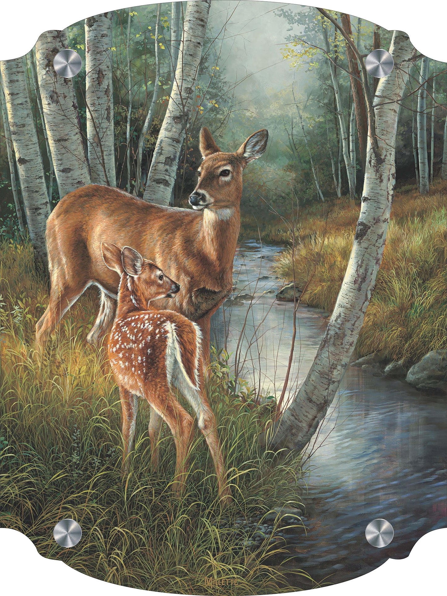 Birch Creek - Whitetail Deer Acrylic Wall Art & Home Decor