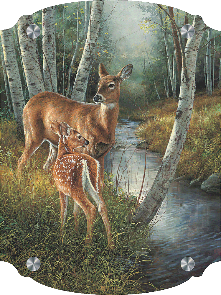 Birch Creek - Whitetail Deer Acrylic Wall Art & Home Decor
