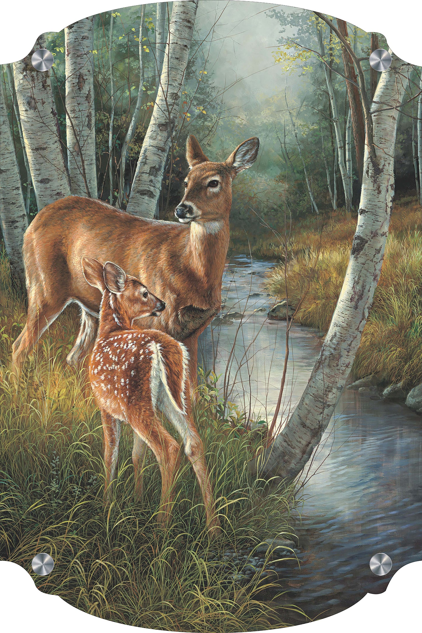 Birch Creek - Whitetail Deer Acrylic Wall Art & Home Decor