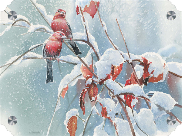 Blizzard House Finches Acrylic Wall Art & Home Decor