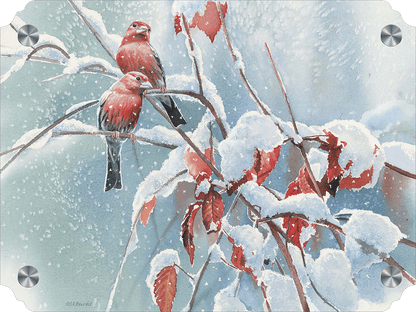 Blizzard House Finches Acrylic Wall Art & Home Decor