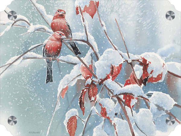 Blizzard House Finches Acrylic Wall Art & Home Decor