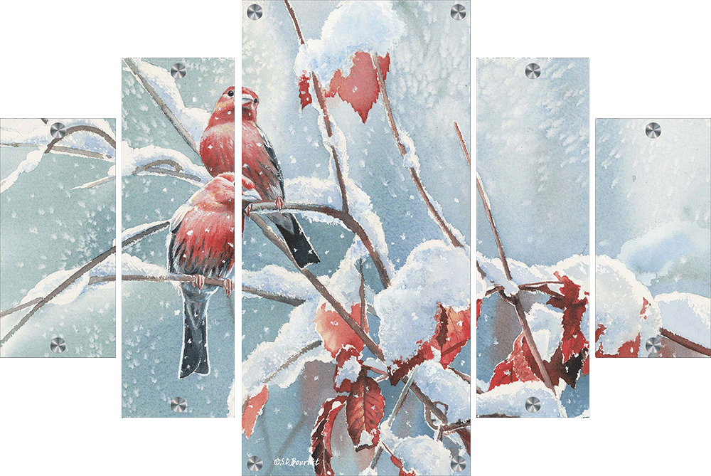 Blizzard House Finches Acrylic Wall Art & Home Decor