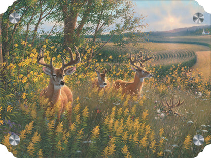 Boys of Summer Whitetail Deer Acrylic Wall Art & Home Decor