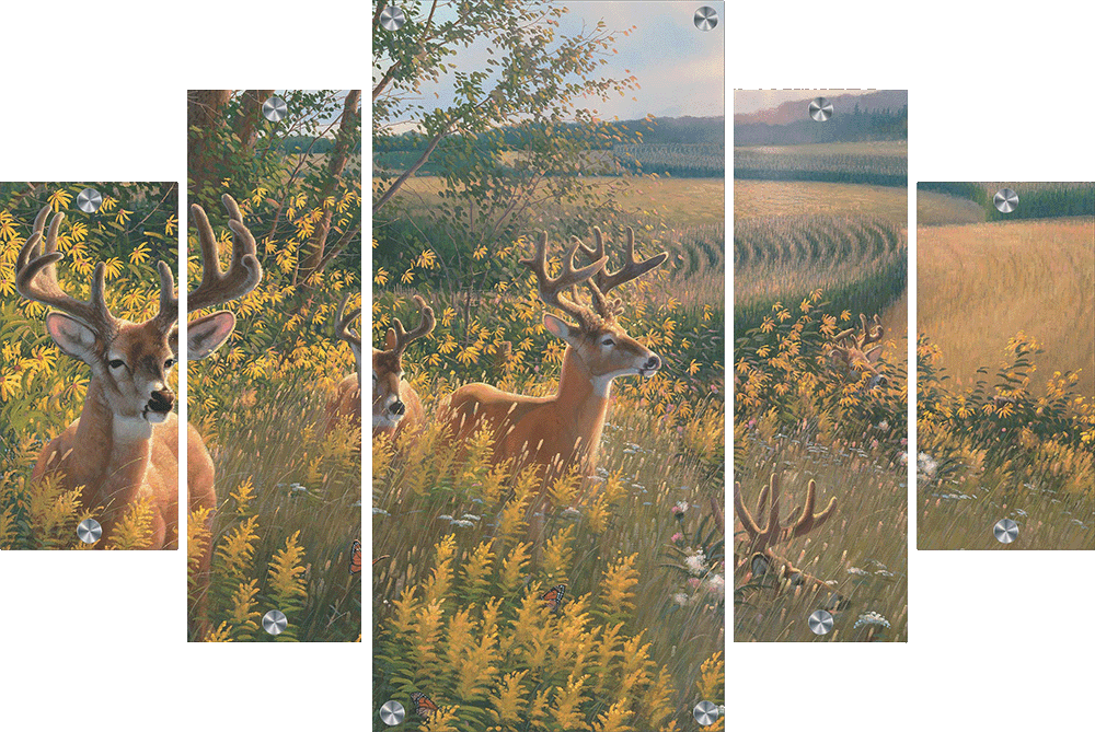 Boys of Summer Whitetail Deer Acrylic Wall Art & Home Decor