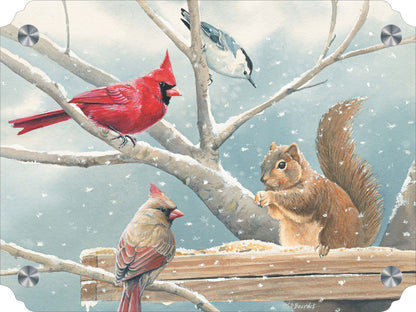 Breakfast Meeting Cardinals and Squirrel Acrylic Wall Art & Home Decor