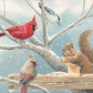 Breakfast Meeting Cardinals and Squirrel Acrylic Wall Art & Home Decor