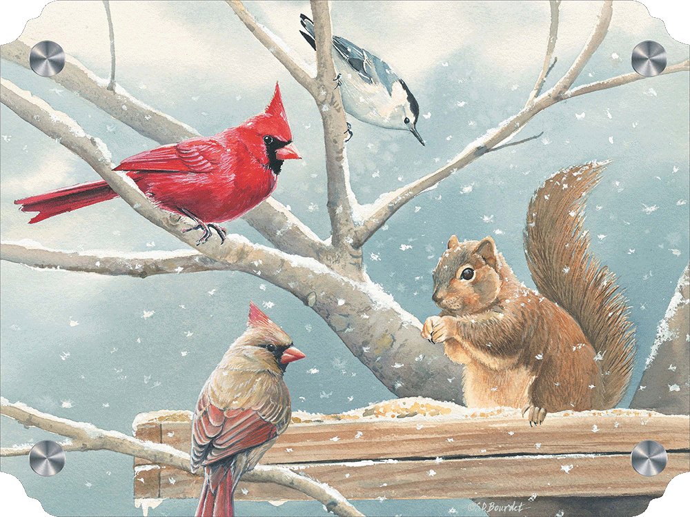 Breakfast Meeting Cardinals and Squirrel Acrylic Wall Art & Home Decor