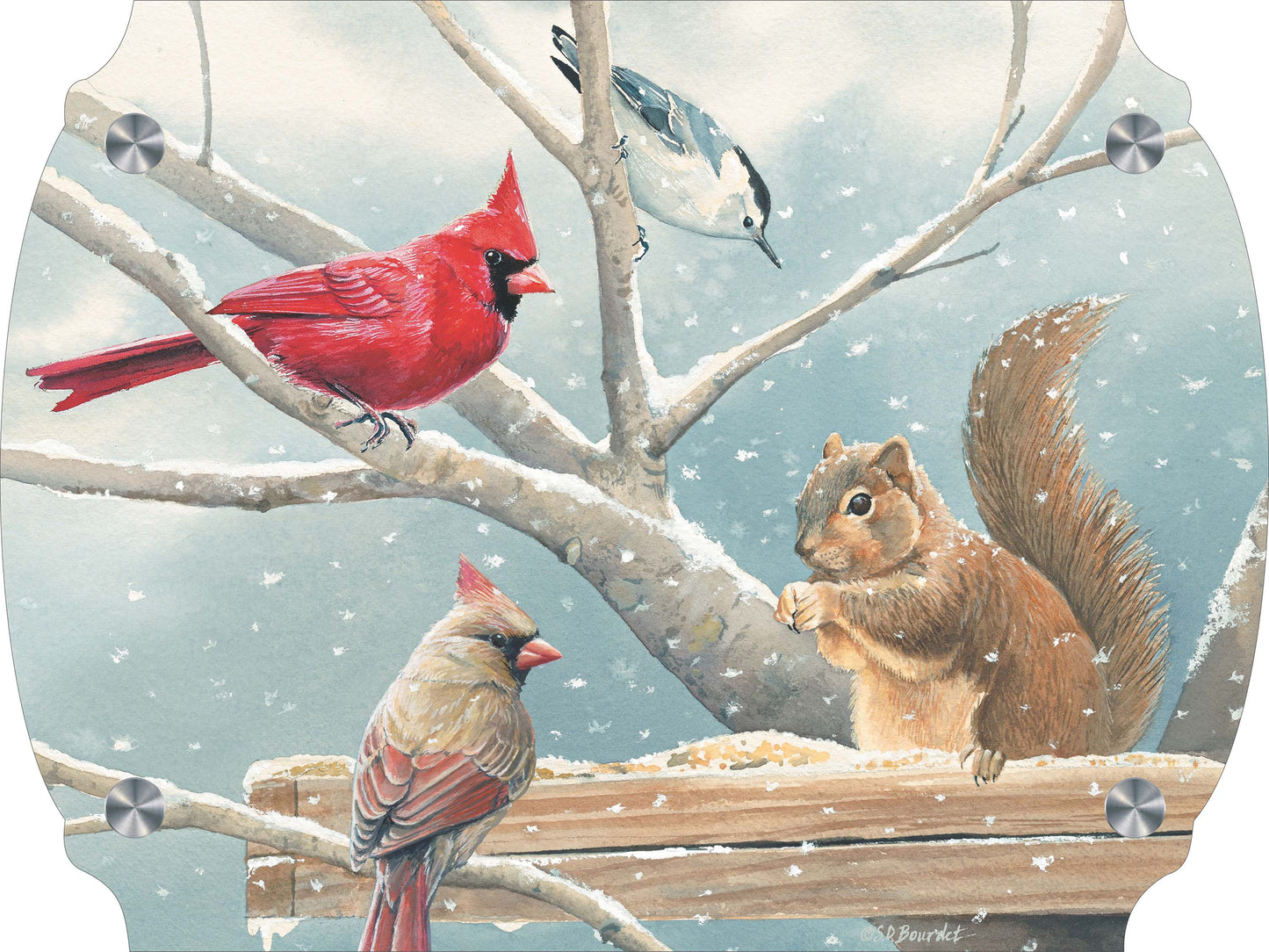 Breakfast Meeting Cardinals and Squirrel Acrylic Wall Art & Home Decor