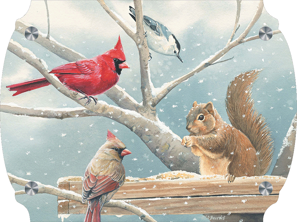 Breakfast Meeting Cardinals and Squirrel Acrylic Wall Art & Home Decor