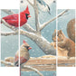 Breakfast Meeting Cardinals and Squirrel Acrylic Wall Art & Home Decor