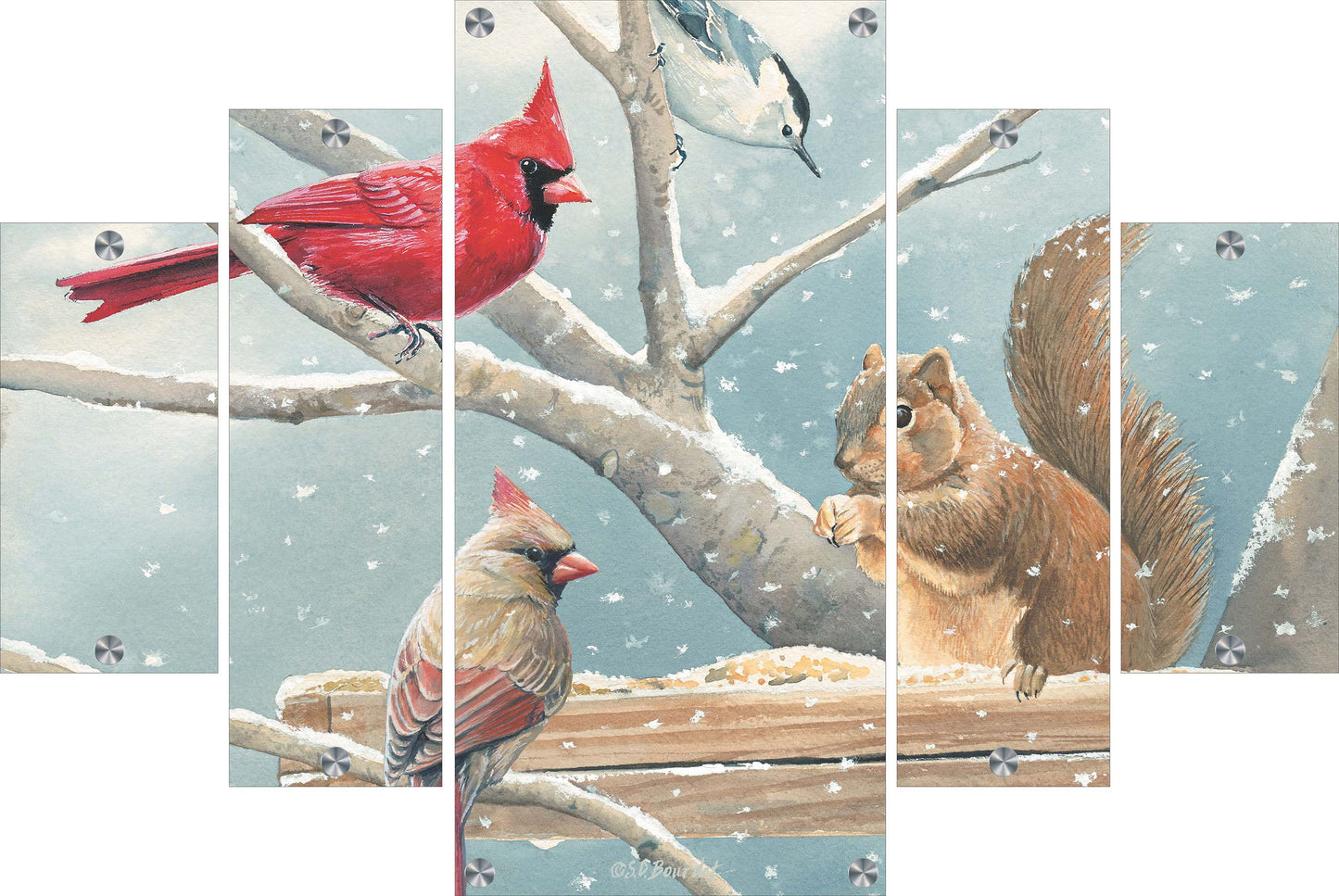 Breakfast Meeting Cardinals and Squirrel Acrylic Wall Art & Home Decor