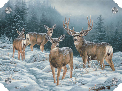 Broken Silence - Mule Deer Acrylic Wall Art & Home Decor