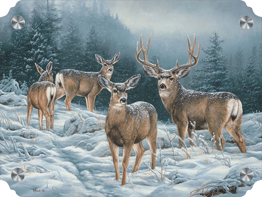 Broken Silence - Mule Deer Acrylic Wall Art & Home Decor