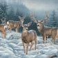 Broken Silence - Mule Deer Acrylic Wall Art & Home Decor