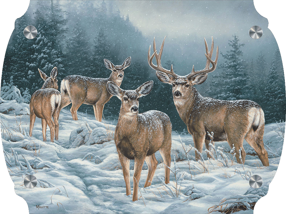 Broken Silence - Mule Deer Acrylic Wall Art & Home Decor