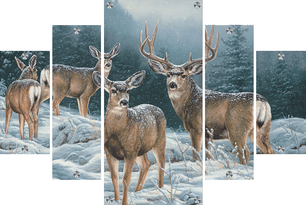 Broken Silence - Mule Deer Acrylic Wall Art & Home Decor