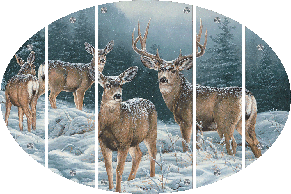Broken Silence - Mule Deer Acrylic Wall Art & Home Decor