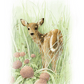 Chance Encounter Acrylic Wall Art & Home Decor