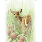 Chance Encounter Acrylic Wall Art & Home Decor