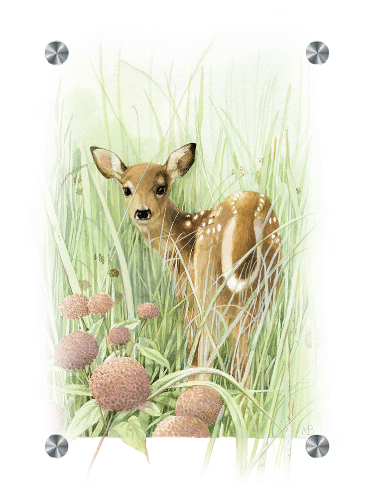 Chance Encounter Acrylic Wall Art & Home Decor