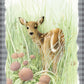 Chance Encounter Acrylic Wall Art & Home Decor