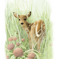 Chance Encounter Acrylic Wall Art & Home Decor