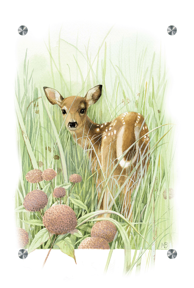 Chance Encounter Acrylic Wall Art & Home Decor