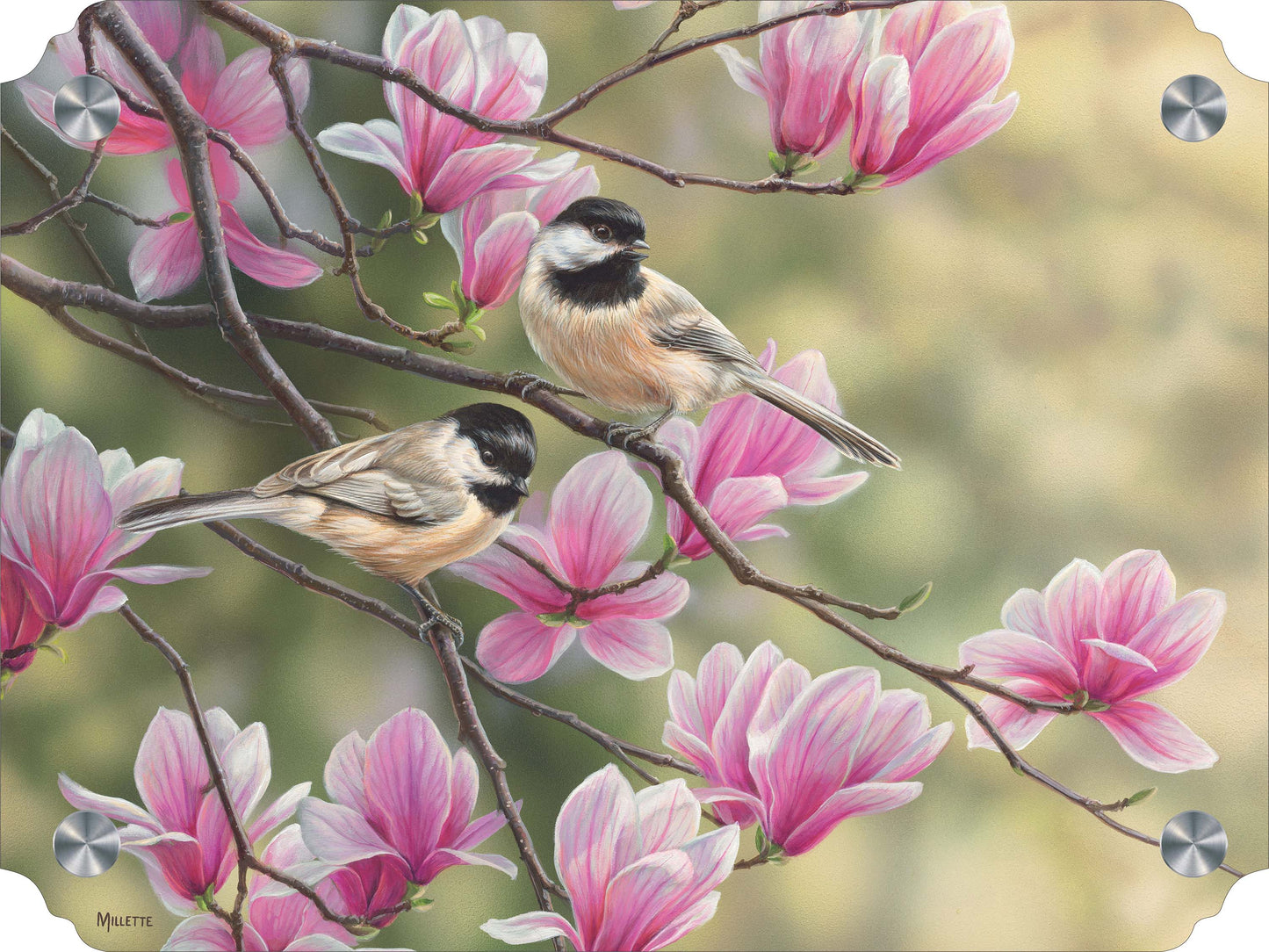 Chickadees and Magnolias Acrylic Wall Art & Home Decor