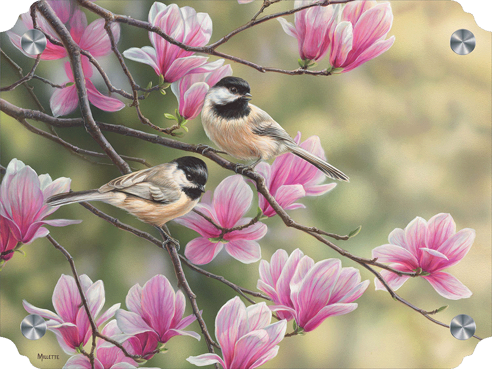 Chickadees and Magnolias Acrylic Wall Art & Home Decor