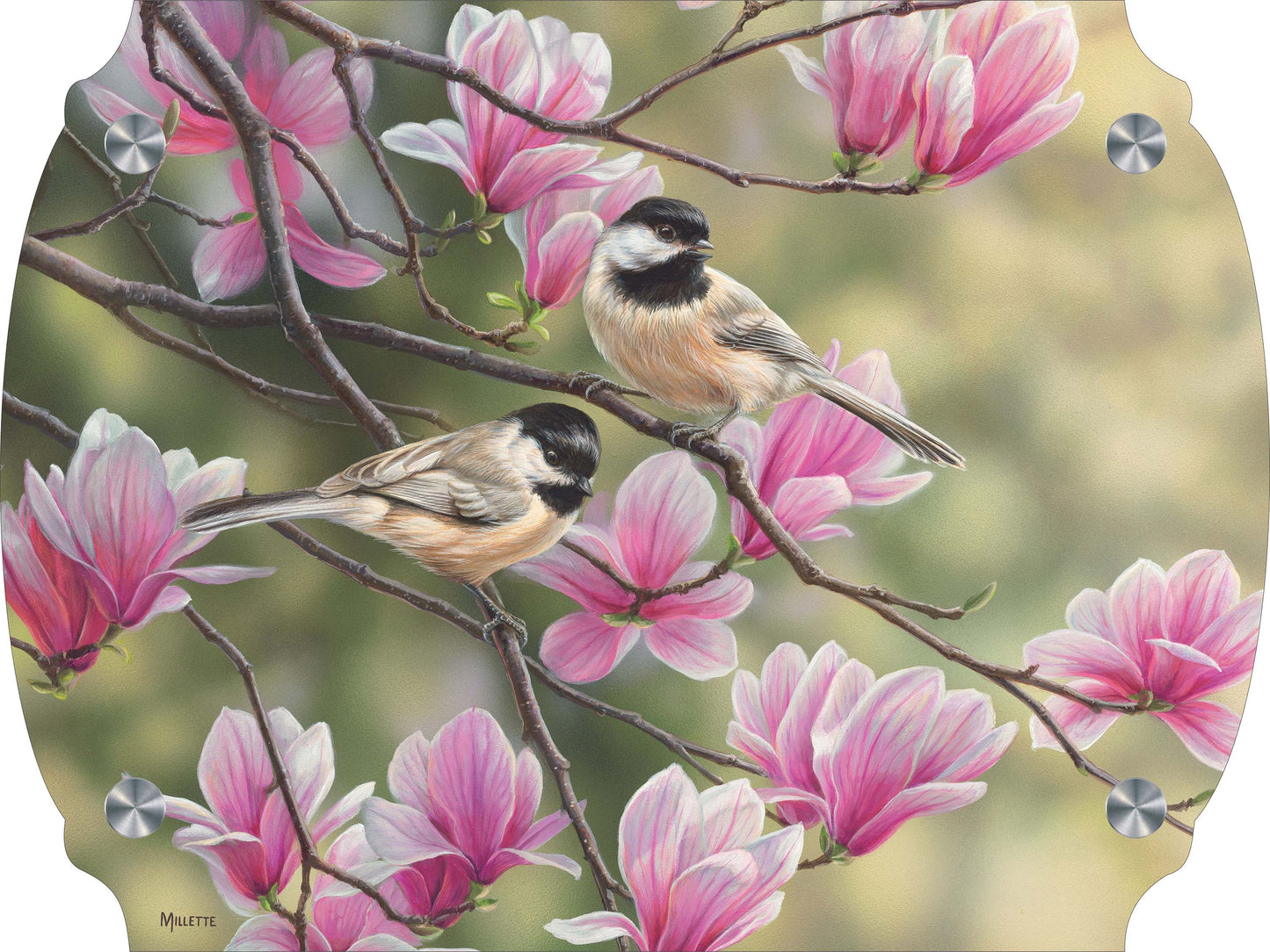 Chickadees and Magnolias Acrylic Wall Art & Home Decor
