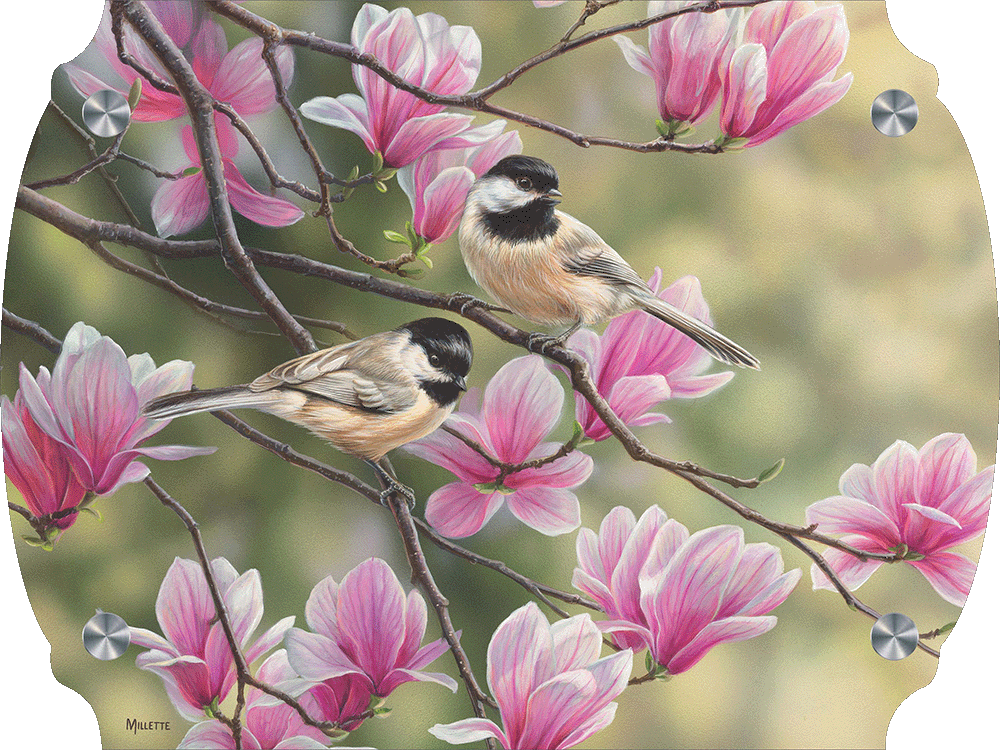Chickadees and Magnolias Acrylic Wall Art & Home Decor