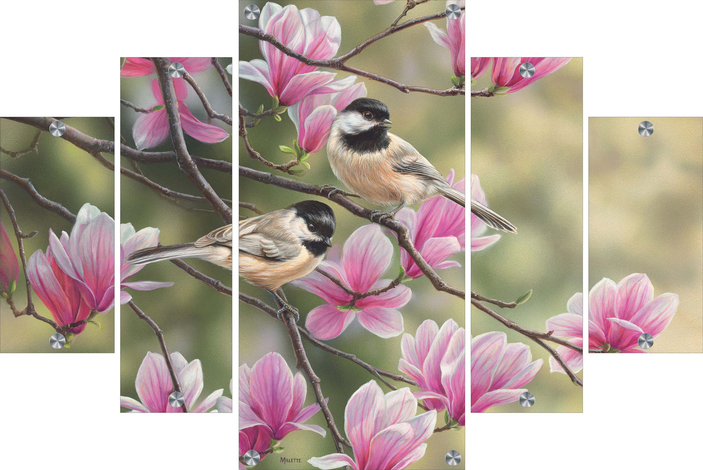 Chickadees and Magnolias Acrylic Wall Art & Home Decor