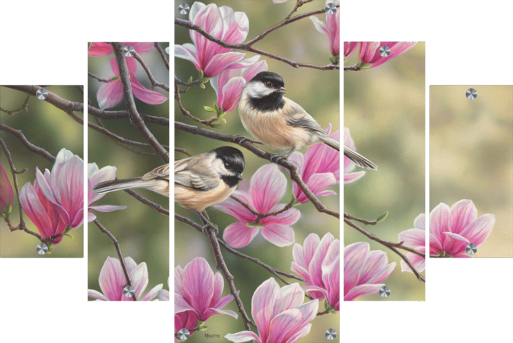 Chickadees and Magnolias Acrylic Wall Art & Home Decor